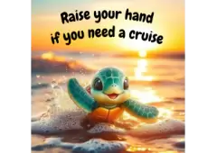 Do you Need a Cruise?