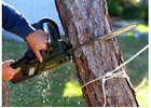 Tree Removal Mount Kuring Gai