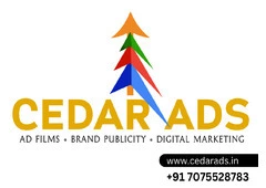 Cedar Ads Best Digital Marketing Agency in vizag