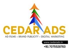 Cedar Ads Best Digital Marketing Agency in vizag