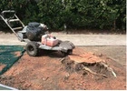 Stump Grinding Avalon