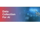 Effective Data Collection for AI: Driving Innovation at Macgence