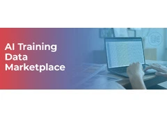 AI Training Data Marketplace: Revolutionizing Model Training