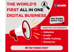 The World's First All in One Digital Business