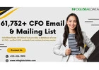 CFO Email Lists – Access High-Value Financial Executives Today!